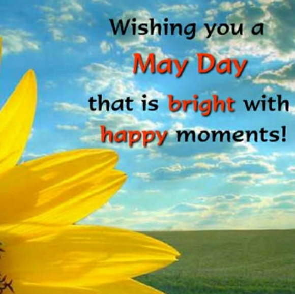 🦋Happy Memorial Day🌺Wishing U Many Sales🛍🦋💯🌻 - Picture 13 of 16